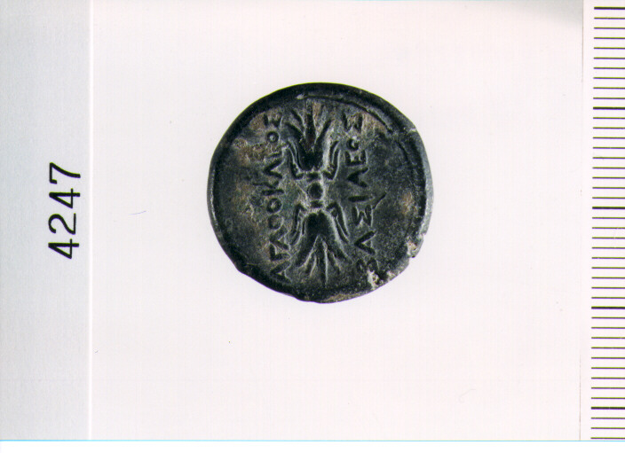 MONETA NON ID (SECC. IV/III A. C)