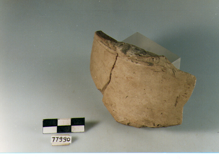 collo cilindrico, tipo E7 Ripoli - neolitico finale-Ripoli III (IV MILLENNIO a.C)