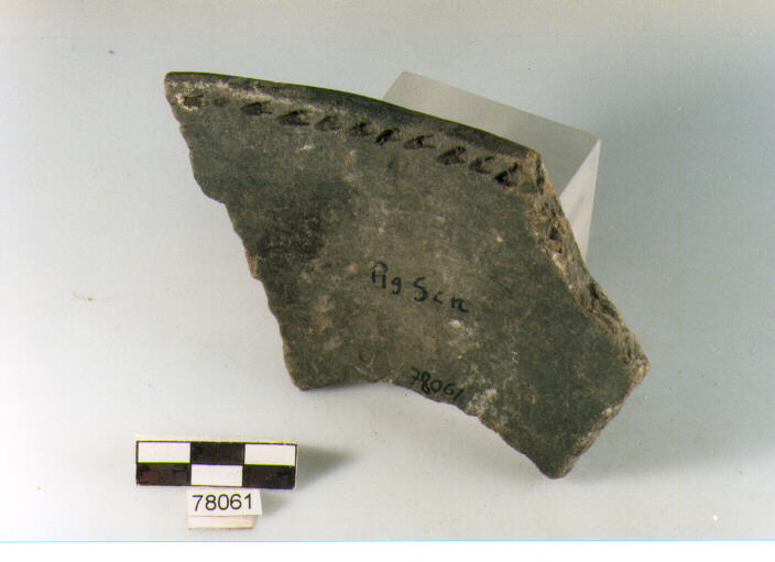 scodellone troncoconico, tipo F16 Ripoli - neolitico finale-Ripoli III (IV MILLENNIO a.C)