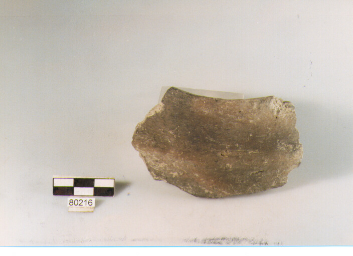 DOLIO CORDONATO, dolii a botte, tipo 1, Archi (BF/ prima età del Ferro)