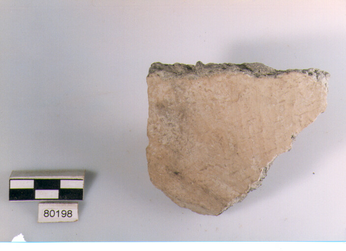 vaso/ parete cordonata, cordoni, tipo 1, Archi (BF/ prima età del Ferro)