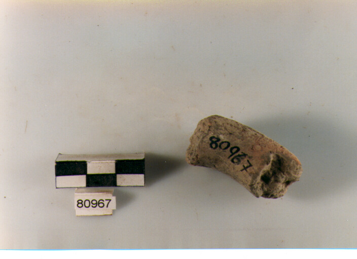 ansa a maniglia, anse a maniglia,Archi (BF/ prima età del Ferro)