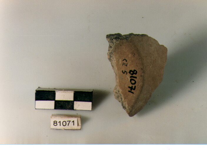 fondo concavo, fondi concavi tipo 2, Archi (BF/ prima età del Ferro, BF/ prima età del Ferro)