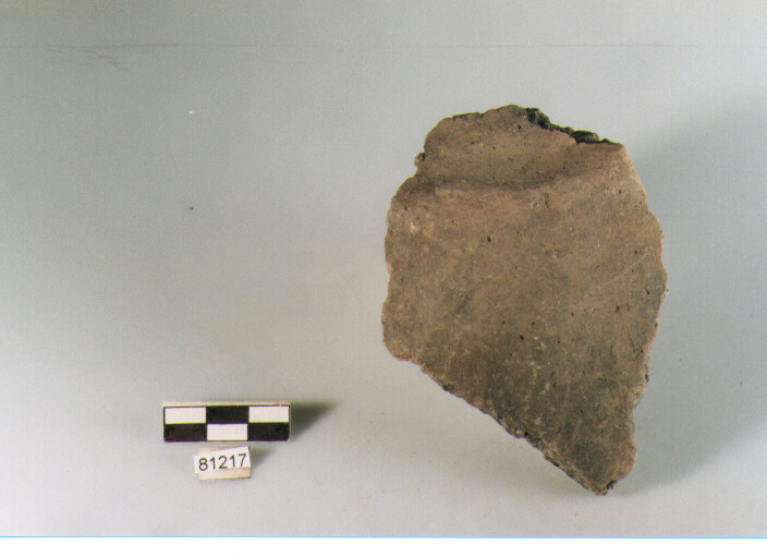 cordone liscio ondulato, cordoni, tipo 2, Archi (BF/ prima età del Ferro)