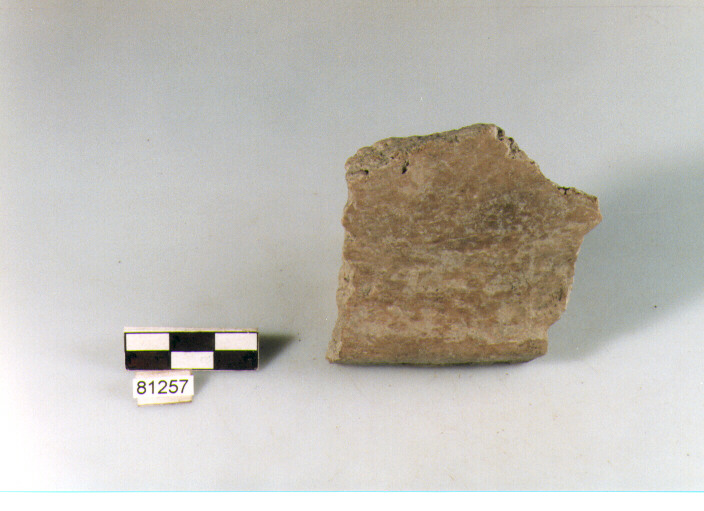 coperchio a campana, coperchi "a campana", tipo 5B, Archi (BF/ prima età del Ferro)