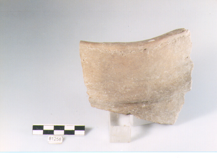 DOLIO CORDONATO, dolii a botte, tipo 1, Archi (BF/ prima età del Ferro)