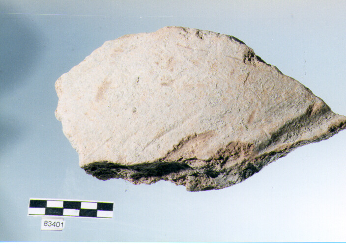 dolio cordonato/ parete, pareti di dolii, tipo 1A, Archi (bronzo finale)