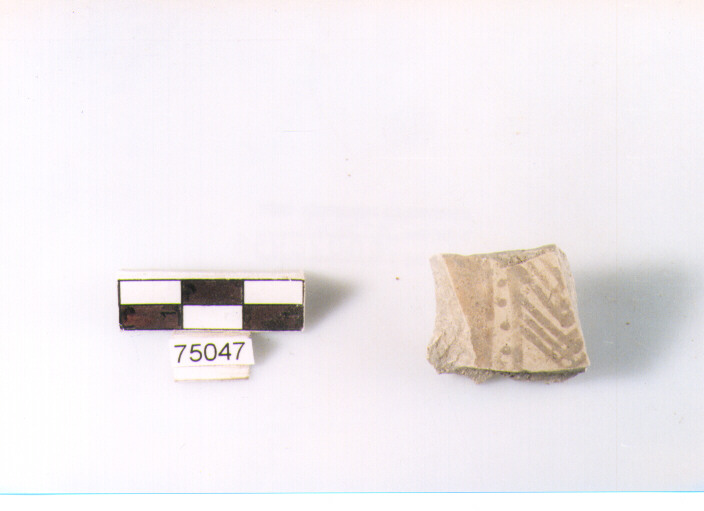 Parete, tipo E11, Ripoli - neolitico finale-Ripoli I (IV MILLENNIO a.C)