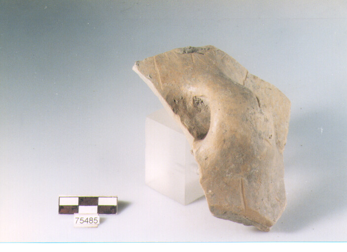 ansa ad anello, tipo A1, Ripoli - neolitico finale-Ripoli I (IV MILLENNIO a.C)