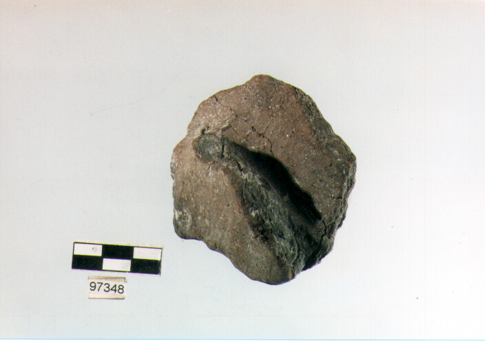 parete, anse tipo 1B, Trasacco (età del bronzo medio)