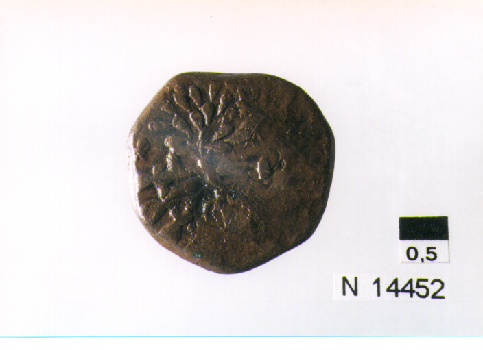 R/ scudo coronato contenente in una fascia iscrizione; V/ tre spighe legate da un ramoscello d'ulivo (moneta, pubblica del popolo) (sec. XVII d.C)