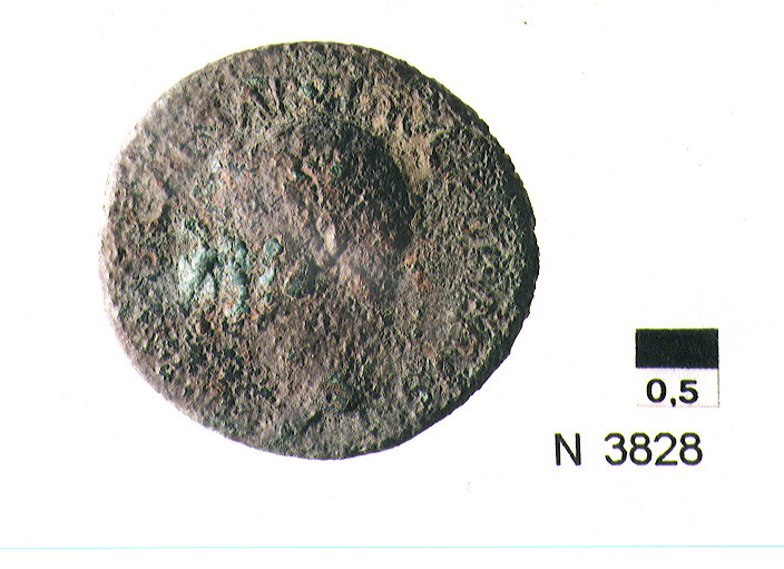 R/ testa nuda di Augusto a sinistra; V/ S C nel campo (moneta, asse) (secc. I a.C./ I d.C)