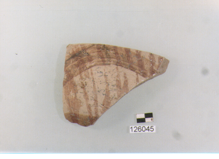 coppa/ forma parzialmente ricostruibile, Hayes, forma 91 (secc. IV/ VI d.C)