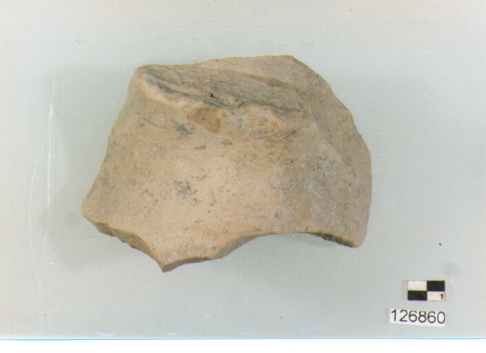 anfora/ collo (secc. VI/ XIV d.C)