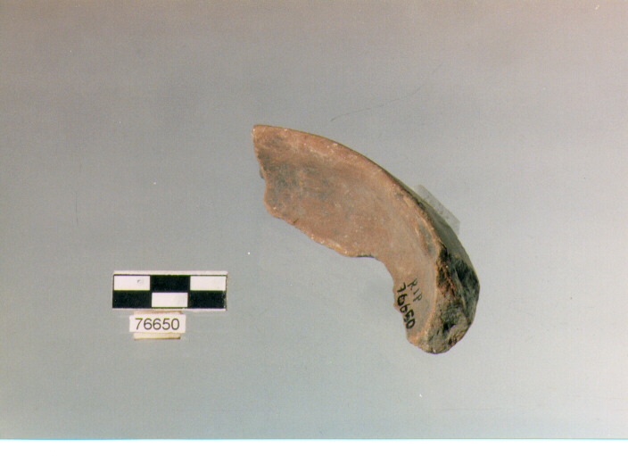 orlo, tipo E 12, Ripoli - neolitico finale-Ripoli (IV MILLENNIO a.C)