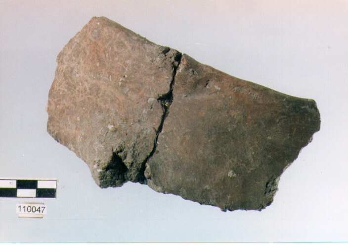 vaso, tipo F35, Ripoli - neolitico finale-Ripoli I (IV MILLENNIO a.C)