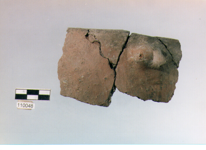 olla ovoide, tipo F8, Ripoli - neolitico finale-Ripoli I (IV MILLENNIO a.C)