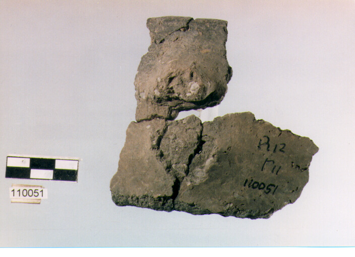 tazza, tipo F33c, Ripoli - neolitico finale-Ripoli I (IV MILLENNIO a.C)