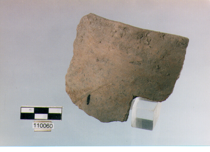 olla ovoide, tipo F8, Ripoli - neolitico finale-Ripoli I (IV MILLENNIO a.C)