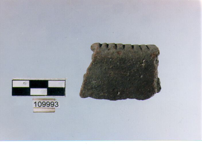 orlo, tipo E12a1 Ripoli - neolitico finale-Ripoli II (IV MILLENNIO a.C)