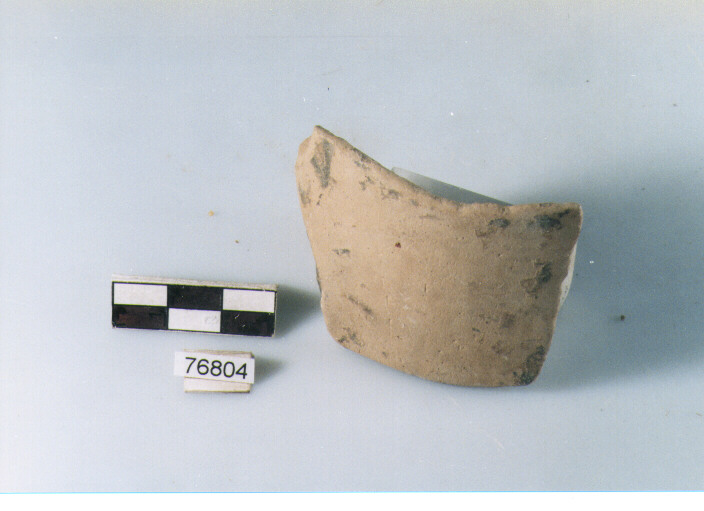 orlo, tipo E12a2 Ripoli - neolitico finale-Ripoli I (IV MILLENNIO a.C)