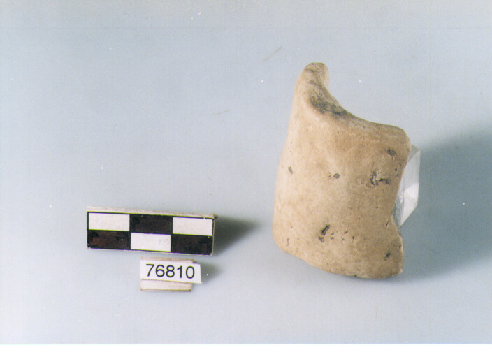 ansa a nastro, tipo A5 Ripoli - neolitico finale-Ripoli I (IV MILLENNIO a.C)