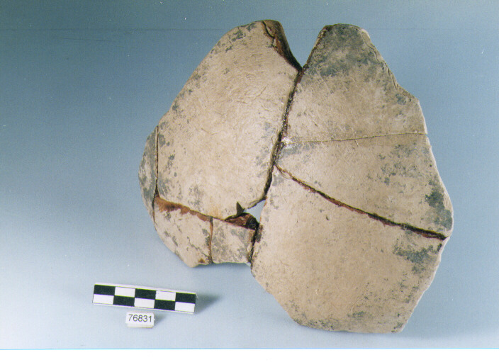 parete, tipo E15 Ripoli - neolitico finale-Ripoli I (IV MILLENNIO a.C)