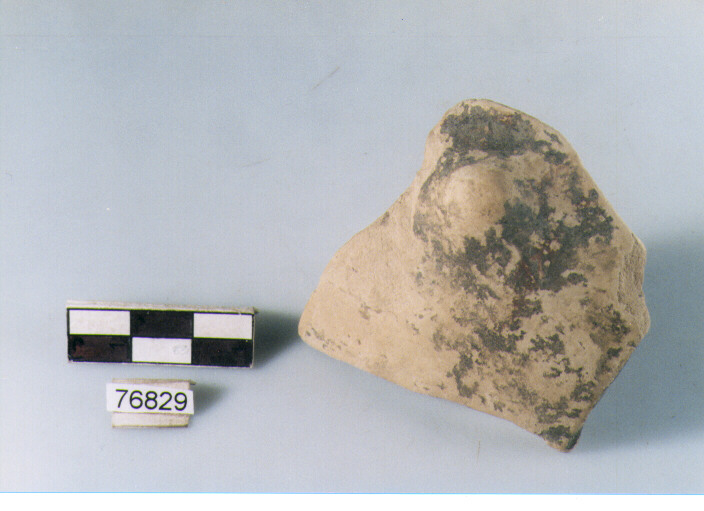 parete, tipo E13 Ripoli - neolitico finale-Ripoli I (IV MILLENNIO a.C)