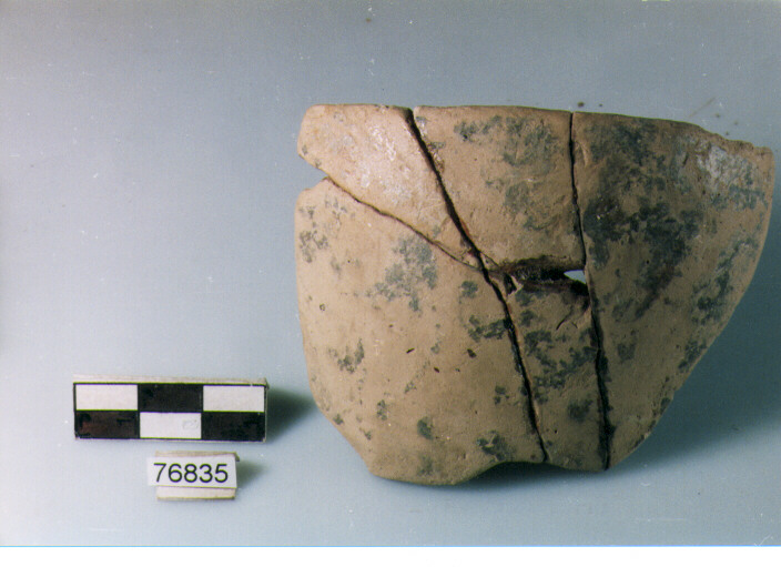 scodella, tipo F20 Ripoli - neolitico finale-Ripoli I (IV MILLENNIO a.C)