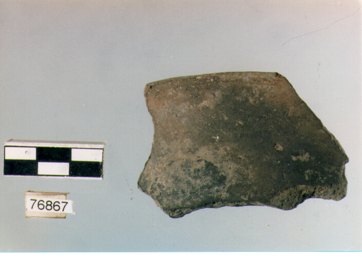 orlo, tipo E 12, Ripoli - neolitico finale-Ripoli III (IV MILLENNIO a.C)