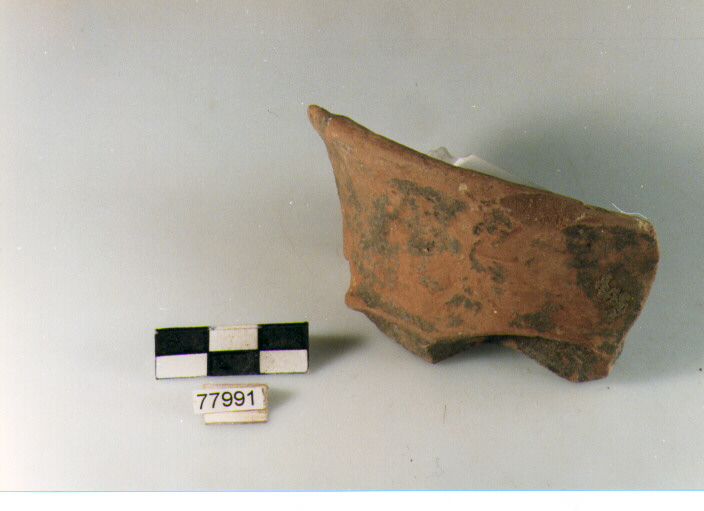 collo concavo, tipo E8 Ripoli - neolitico finale-Ripoli III (IV MILLENNIO a.C)