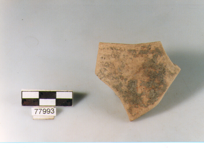 orlo, tipo E12 a2 Ripoli - neolitico finale-Ripoli III (IV MILLENNIO a.C)