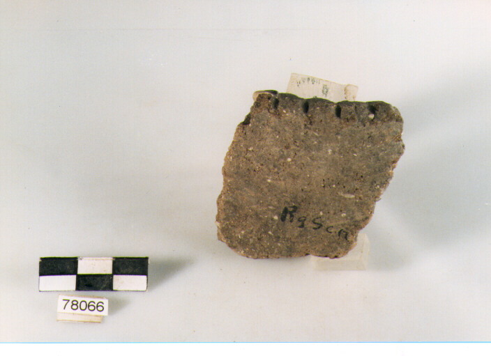 olla ovoide, tipo F8 Ripoli - neolitico finale-Ripoli III (IV MILLENNIO a.C)