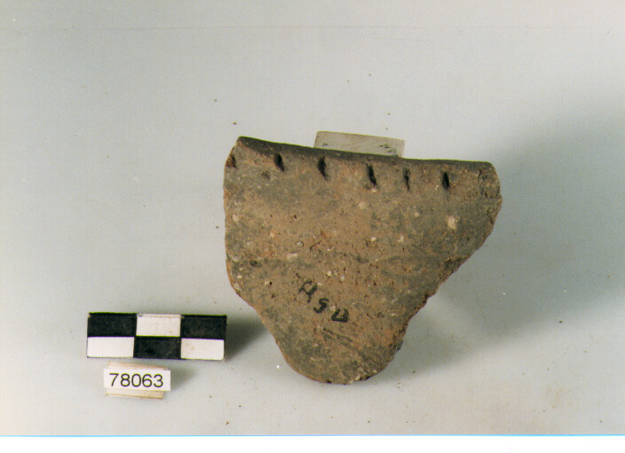 scodella troncoconica, tipo F14 Ripoli - neolitico finale-Ripoli III (IV MILLENNIO a.C)