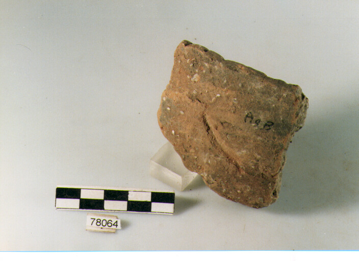 scodella troncoconica, tipo F14 Ripoli - neolitico finale-Ripoli III (IV MILLENNIO a.C)