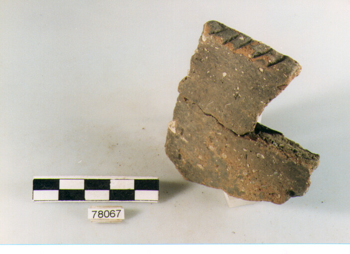 olla ovoide, tipo F8 Ripoli - neolitico finale-Ripoli III (IV MILLENNIO a.C)