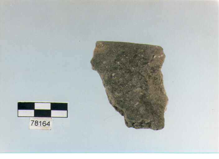 orlo, tipo E 7, Fossacesia - neolitico finale (ultimo quarto IV MILLENNIO a.C)