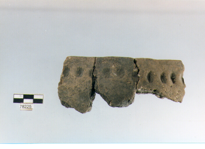 olla ovoide, tipo F 3, Fossacesia - neolitico finale (ultimo quarto IV MILLENNIO a.C)