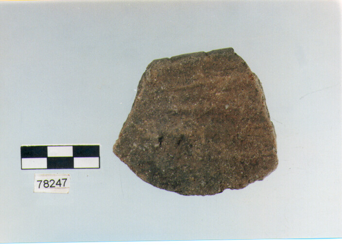 orlo, tipo E 7a1, Fossacesia - neolitico finale (ultimo quarto IV MILLENNIO a.C)