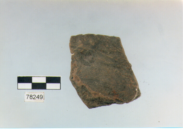 orlo, tipo E 7a1, Fossacesia - neolitico finale (ultimo quarto IV MILLENNIO a.C)