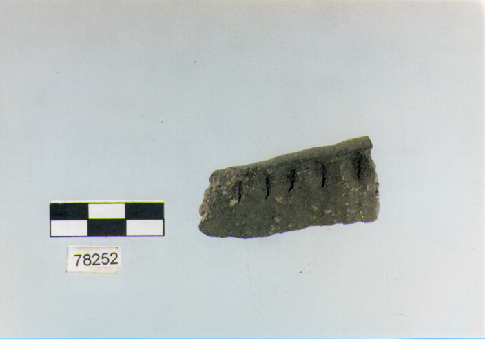 orlo, tipo E 7a1, Fossacesia - neolitico finale (ultimo quarto IV MILLENNIO a.C)