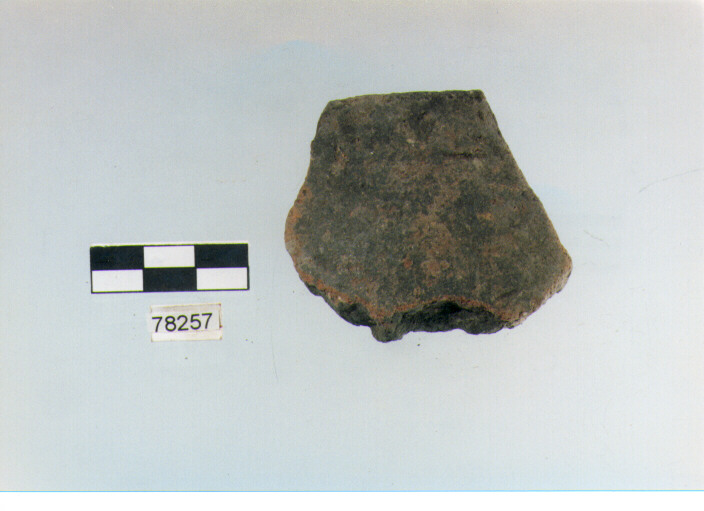 orlo, tipo E 7a1, Fossacesia - neolitico finale (ultimo quarto IV MILLENNIO a.C)