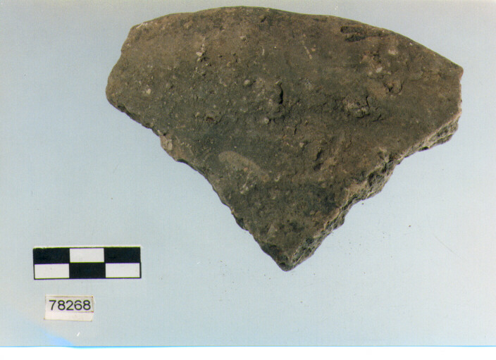 scodella, tipo F11a, Fossacesia - neolitico finale (ultimo quarto IV MILLENNIO a.C)