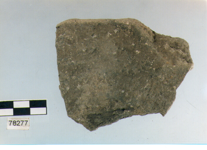 scodella, tipo F11a, Fossacesia - neolitico finale (ultimo quarto IV MILLENNIO a.C)