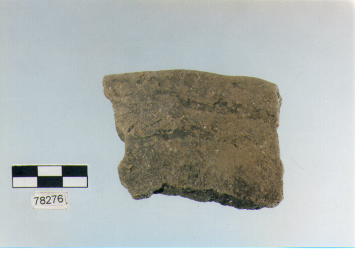 scodella, tipo F11a, Fossacesia - neolitico finale (ultimo quarto IV MILLENNIO a.C)