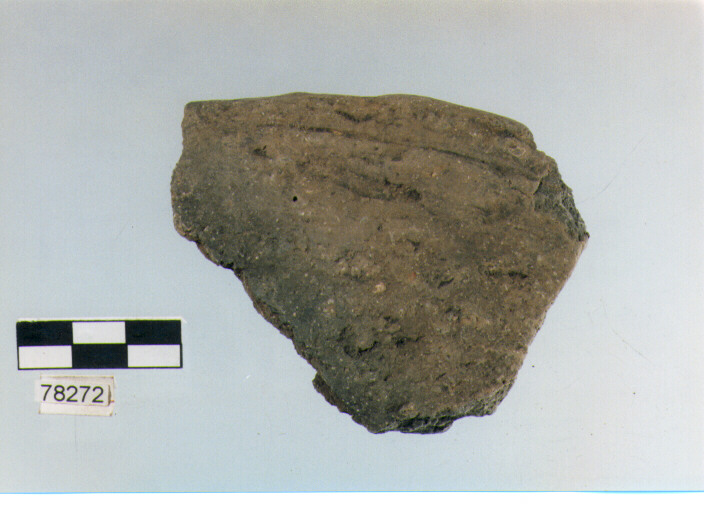 scodella, tipo F11a, Fossacesia - neolitico finale (ultimo quarto IV MILLENNIO a.C)