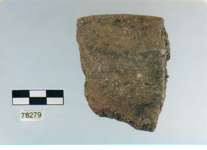 scodella, tipo F11a, Fossacesia - neolitico finale (ultimo quarto IV MILLENNIO a.C)