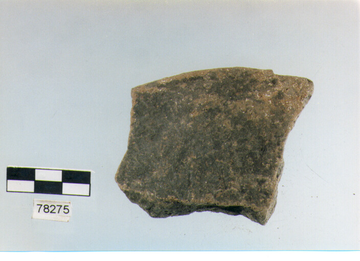 scodella, tipo F11a, Fossacesia - neolitico finale (ultimo quarto IV MILLENNIO a.C)