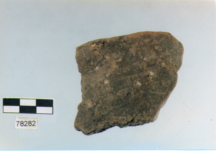 scodella, tipo F11a, Fossacesia - neolitico finale (ultimo quarto IV MILLENNIO a.C)