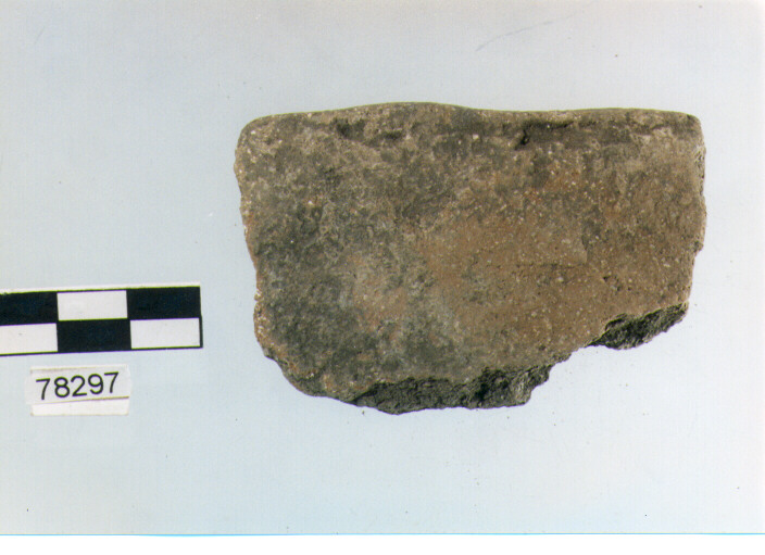 orlo, tipo E7, Fossacesia - neolitico finale (ultimo quarto IV MILLENNIO a.C)